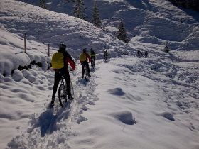 Bild205.jpg